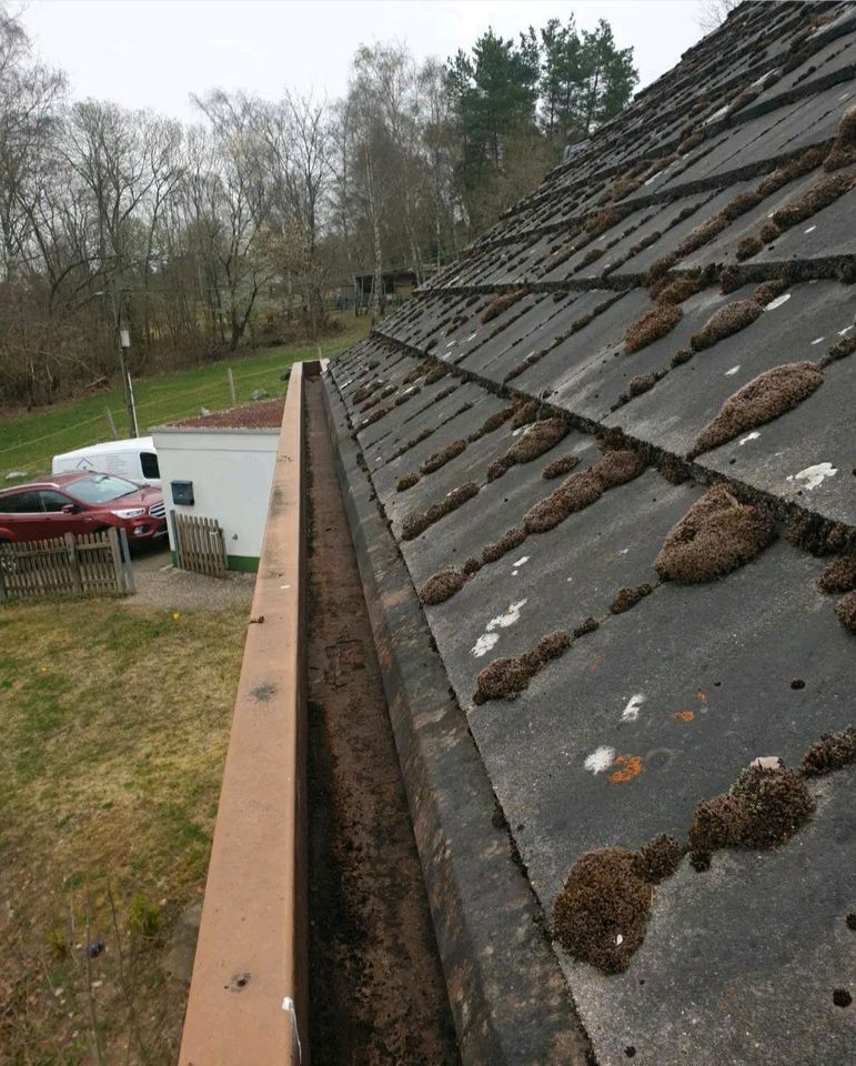 Dachrinnenreinigung bis 12m hoch in Hochheim am Main