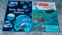 2 Bücher Wale Delfine Aha was ist was Wissensbuch Dresden - Dresden-Plauen Vorschau