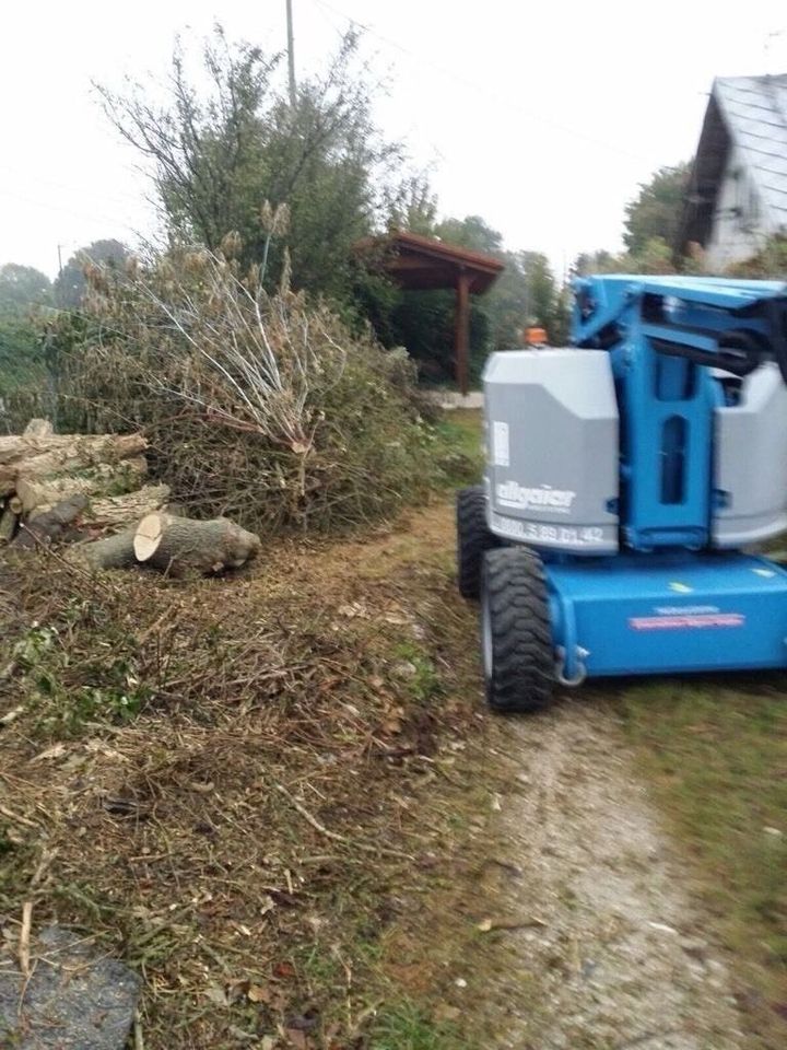 * Beräumung Sanierung Entkernung  Entrümpelung in Wiesensteig