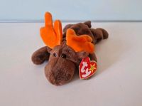 Beanie Babies Ty Elch Chocolate Neu Plüschtier 1993 90er Sammler Bayern - Wartenberg Vorschau