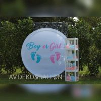 Gender Revial/Baby Party mieten,leihen Nordrhein-Westfalen - Greven Vorschau