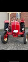 Porsche Diesel Super 308 - Klassischer Traktor Nordrhein-Westfalen - Witten Vorschau