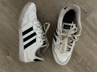 Schöne Damen Schuhe Sneaker von Adidas gr 37 Nordrhein-Westfalen - Greven Vorschau