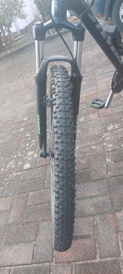 Mountain Bike in Tensfeld