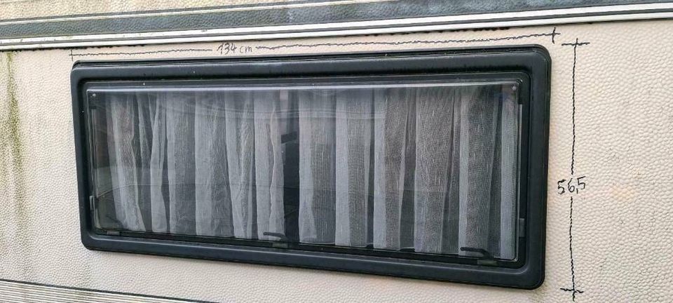 ParaPress Para Press Fenster Wohnwagen Hobby PPGY-RX D2167 in Mauritz