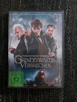 DVD Phantastische Tierwesen Grindelwalds Verbrechen Sachsen-Anhalt - Könnern Vorschau