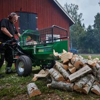 Kegelspalter mit Elektromotor Holzspalter Bennholzspalter Quad Kl Thüringen - Heilbad Heiligenstadt Vorschau