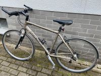 TREK Herrenrad 20/51cm mit Carbon Köln - Nippes Vorschau