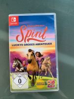 Nintendo Switch Spiel Spirit Thüringen - Eisenach Vorschau