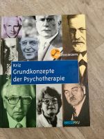 Grundkonzept der Psychotherapie, Kriz Sachsen - Augustusburg Vorschau