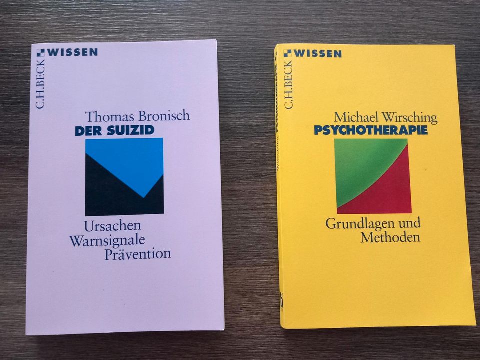 Buch Fachbuch Psychotherapie Grundlagen Wirsching Suizid Bronisch in Quedlinburg