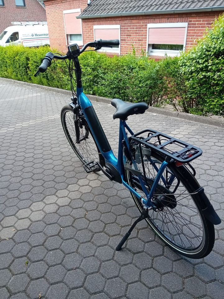 E-Bike Elektrofahrrad Fahrrad Gazelle Arroyo C7 + HMB Elite 28 " in Leer (Ostfriesland)