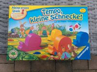 Tempo kleine Schnecke und Erster Obstgarten Rheinland-Pfalz - Waldsee Vorschau