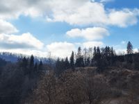 Sanierte Wohnoase mit erstklassigem Ausblick Bayern - Fürsteneck Vorschau