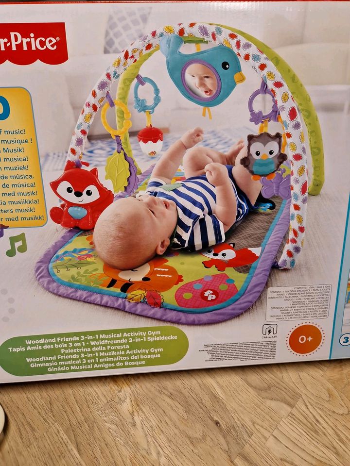 Fisher Price, Waldfreunde 3in1 Spieldecke mit Musik, Baby, Kinder in Blaubeuren