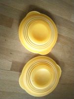 2 Tupperware Deckel 700ml Bayern - Bad Kötzting Vorschau