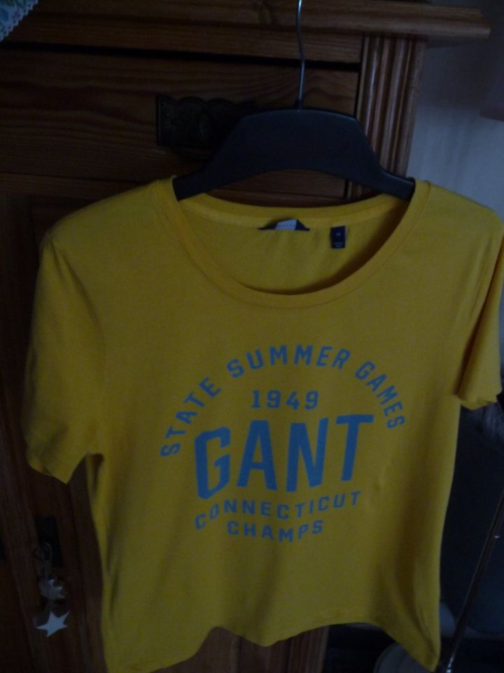 GANT T- Shirt , M, in gelb . Neuwertig in Halle (Westfalen)