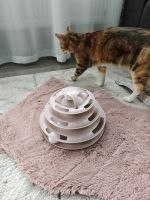 Katzen Spielturm Hessen - Baunatal Vorschau