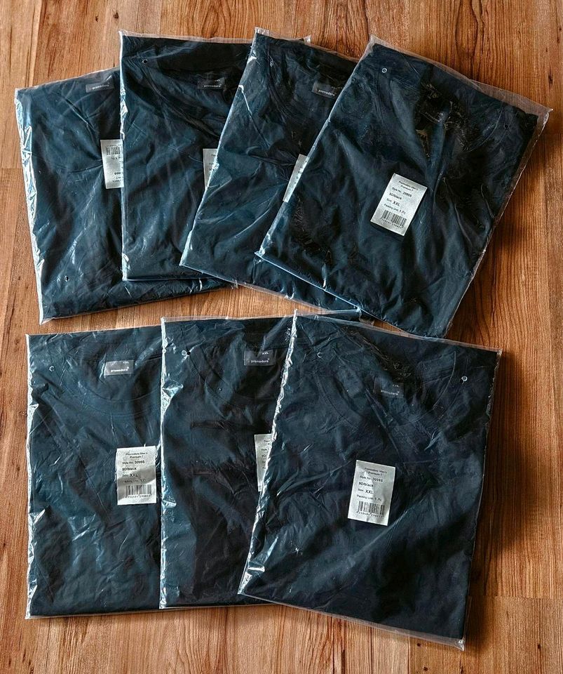 10x Hemd XXL XXXL Shirt Polohemd Poloshirt Lacoste Engbers in Essen