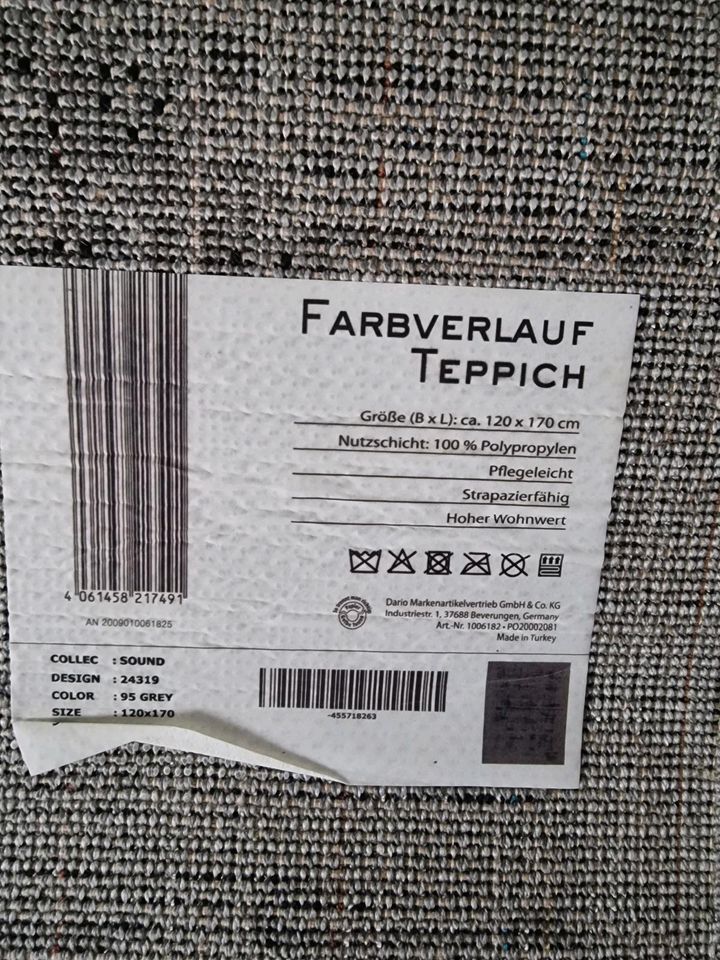 Teppich mit Farbverlauf  Gr. 120×170 guter Zustand in Hamburg