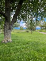 Freizeitgrundstück/ Gemüsegarten Baden-Württemberg - Reute im Breisgau Vorschau