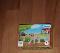 Mc Donalds Happy Meal Schleich Troll Skylander Snoopy Transformer Bayern - Vöhringen Vorschau