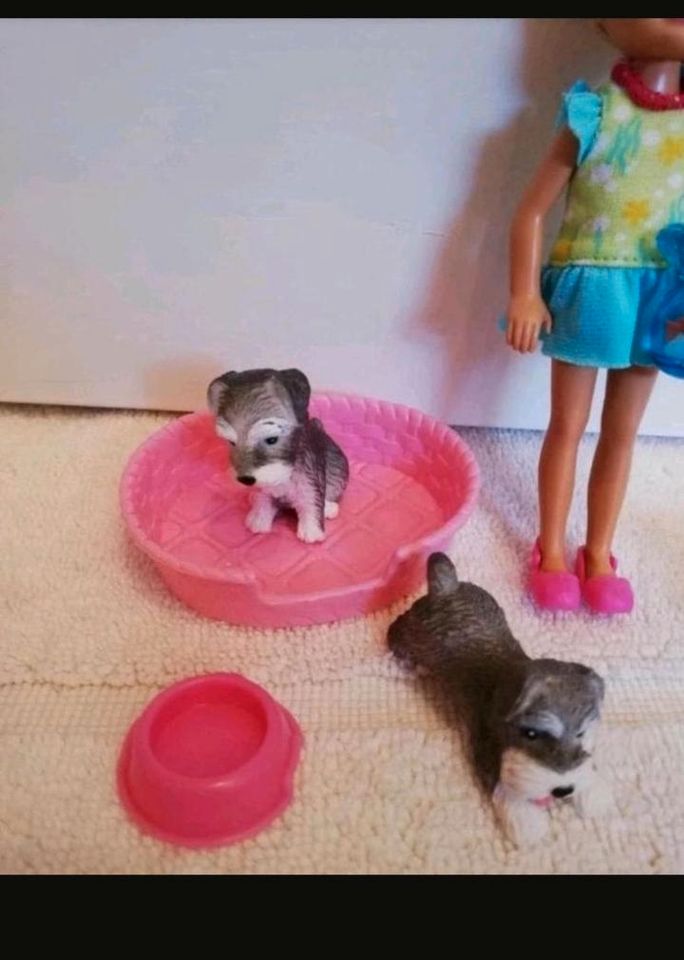 Barbie's Schwester Chelsea+Hunde in Gefrees