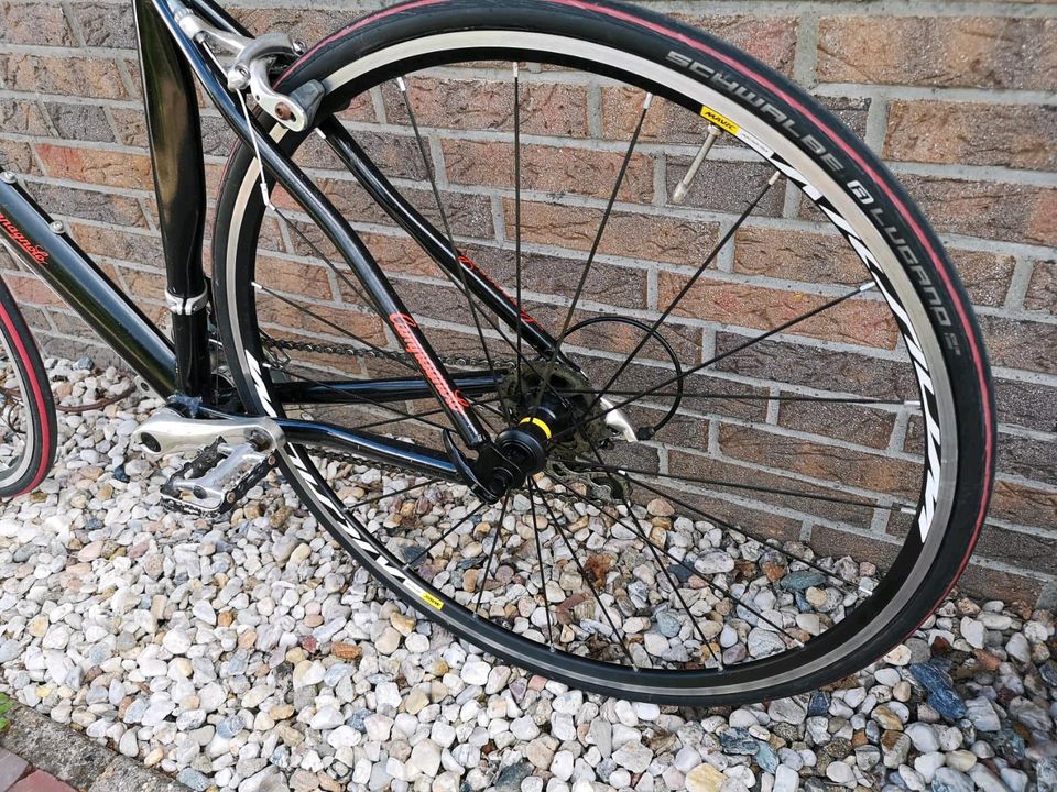 Rennrad Campagnolo 28 Zoll in Bad Zwischenahn