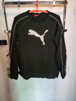 Puma langarm Shirt (L48/50) Berlin - Spandau Vorschau