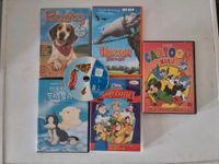 22 Kinder Familien Erwachsene DVDs disney Filme, Harry Potter usw Bayern - Grassau Vorschau