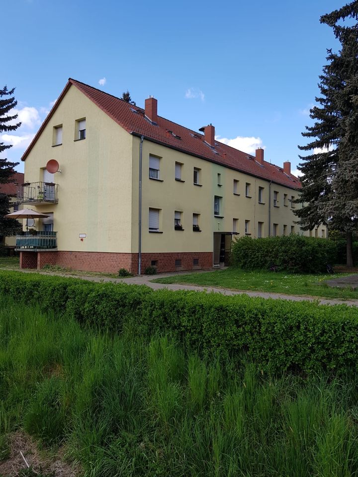 Nette 3 Raumwohnung- Seehausen/ Falkenberg in Altmärkische Wische