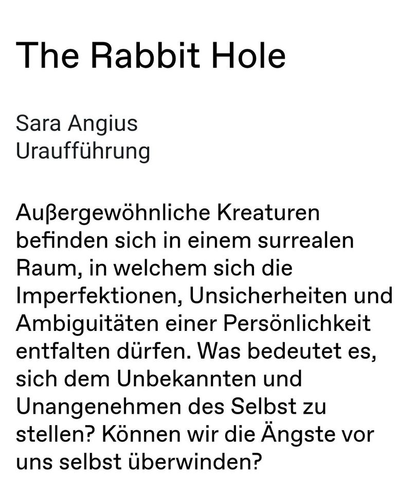 Staatstheater BS "The Rabbit Hole" 19.05. (2 Karten) in Braunschweig
