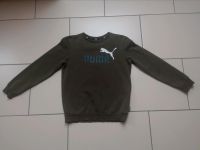 Puma Sweatshirt Gr. 164 Sachsen-Anhalt - Oebisfelde-Weferlingen Vorschau