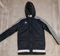 Adidas Stadionjacke gr 152 Brandenburg - Rangsdorf Vorschau