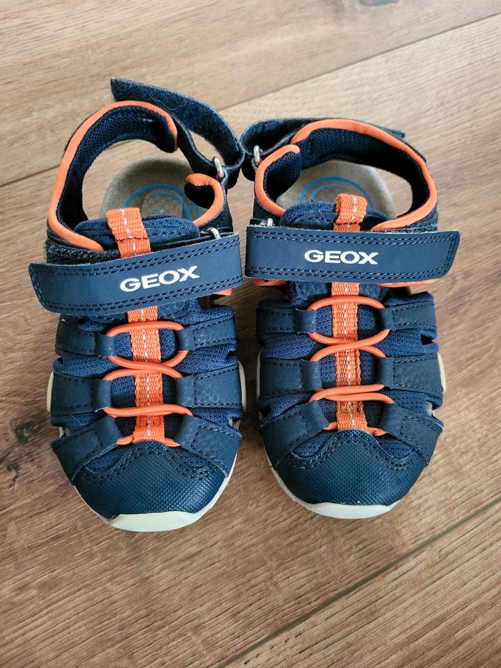 Geox Sandalen in Viersen