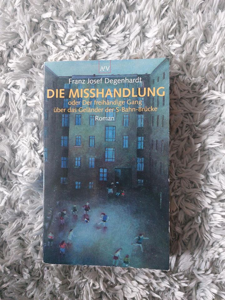 Buch: Die Misshandlung in Heidelberg