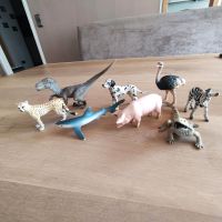 Diverse Schleich-Tiere Nordrhein-Westfalen - Gelsenkirchen Vorschau