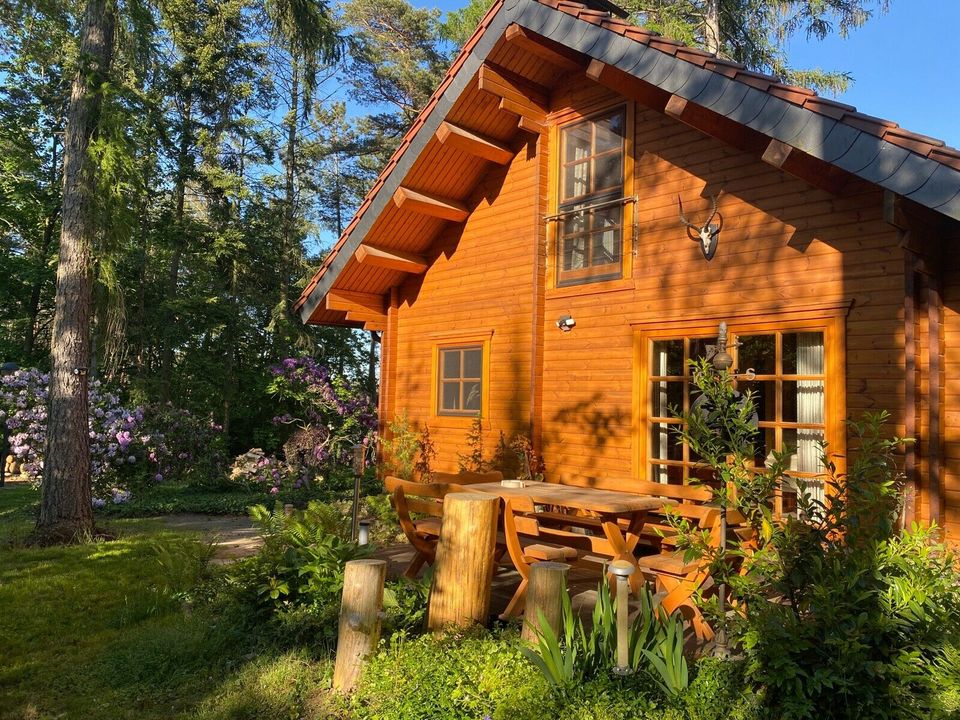 exklusives Ferienhaus im Wald, 120qm, Sauna, Kamin, viel Ruhe in Bad Schmiedeberg