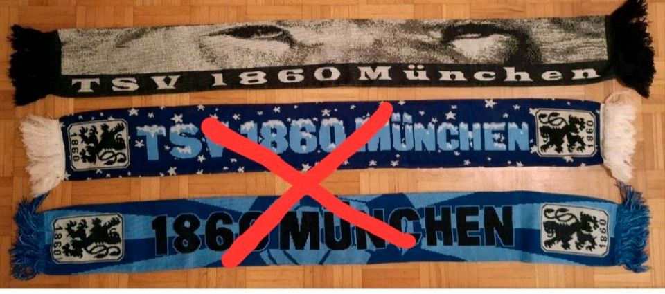 1860 München | Fan Schal | Fußball | Löwe in Brannenburg