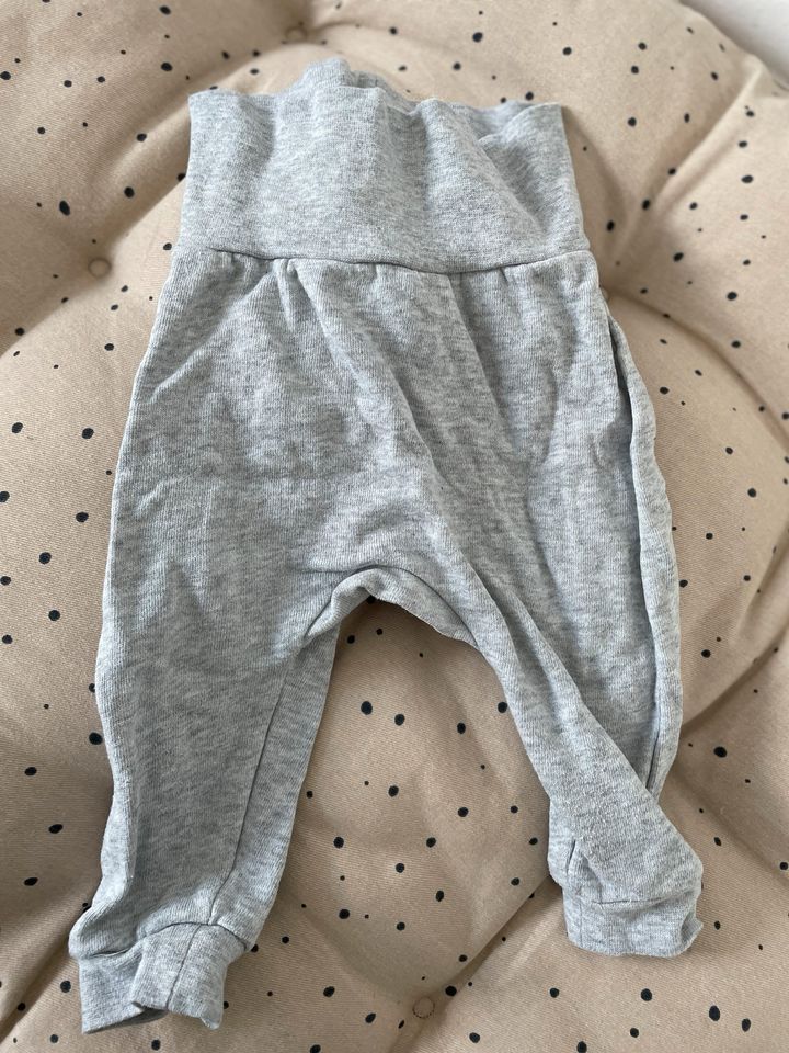 Baumwollset Set Bär Pullover Hose Baby Grau in Wiesbaden