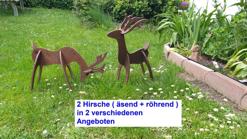 Edelrost Hirsch; Garten Deko = äsender Hirsch aus massivem Stahl in Taunusstein