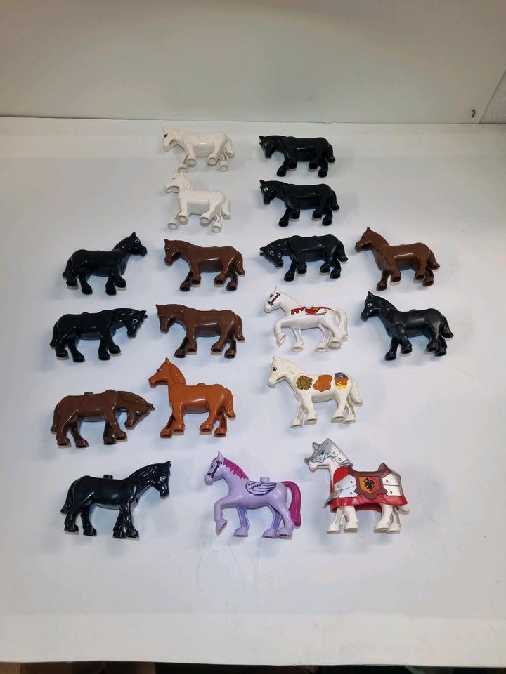 Lego Duplo Tiere Preis pro Stück  Ab 1€ siehe Bilder in Würselen