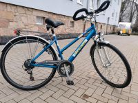 Damen Fahrrad 28 Zoll Marke*Crown* Hessen - Bad Arolsen Vorschau