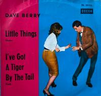 Single von Dave Berry - Little Things Schleswig-Holstein - Honigsee Vorschau