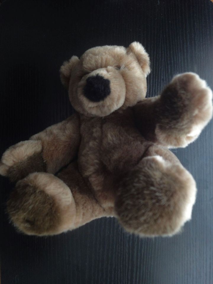 Teddy Bär SIGIKID, braun, weich, unbespielt, waschbar, ca. 26cm in Mannheim