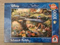 Puzzle Disney 1000 Teile Sachsen-Anhalt - Rochau Vorschau