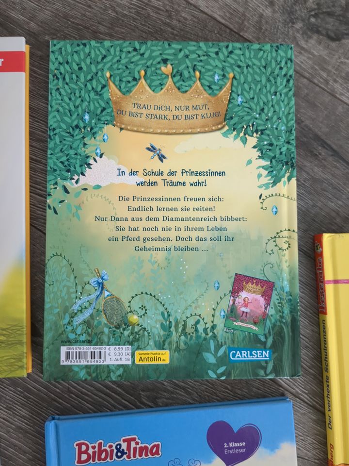 Kinderbücher Erstleser Leserabe Bibi Tina Prinzessin in Gevenich Eifel