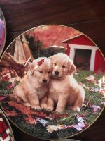 Sammelteller Fall in Love von Royal Doulton Labrador Welpen Nordrhein-Westfalen - Attendorn Vorschau