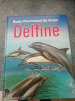 Bunte Wissenswelt Delfine Bayern - Bad Kissingen Vorschau