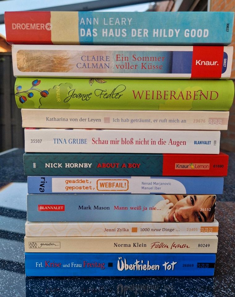 11 Bücher Romane, Paketpreis in Wittmar